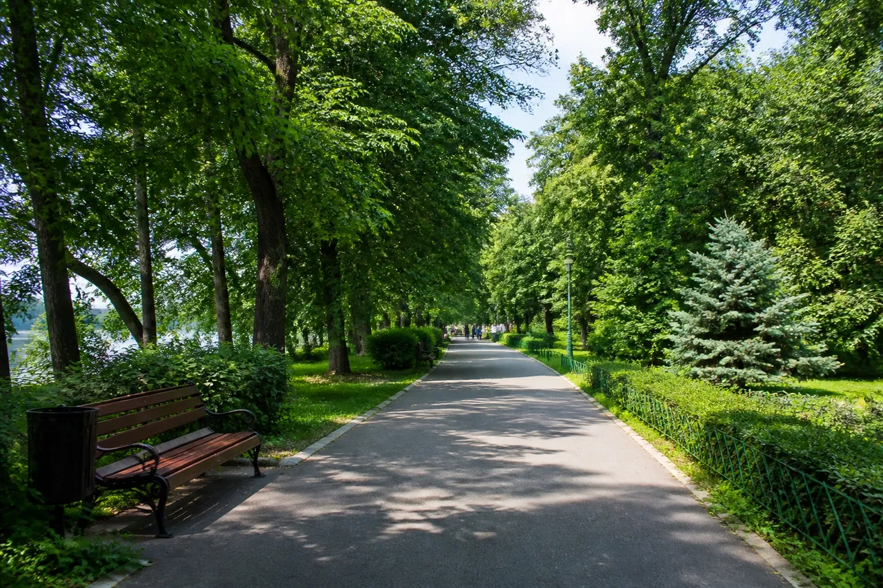 activități în parcurile din București fără mașină