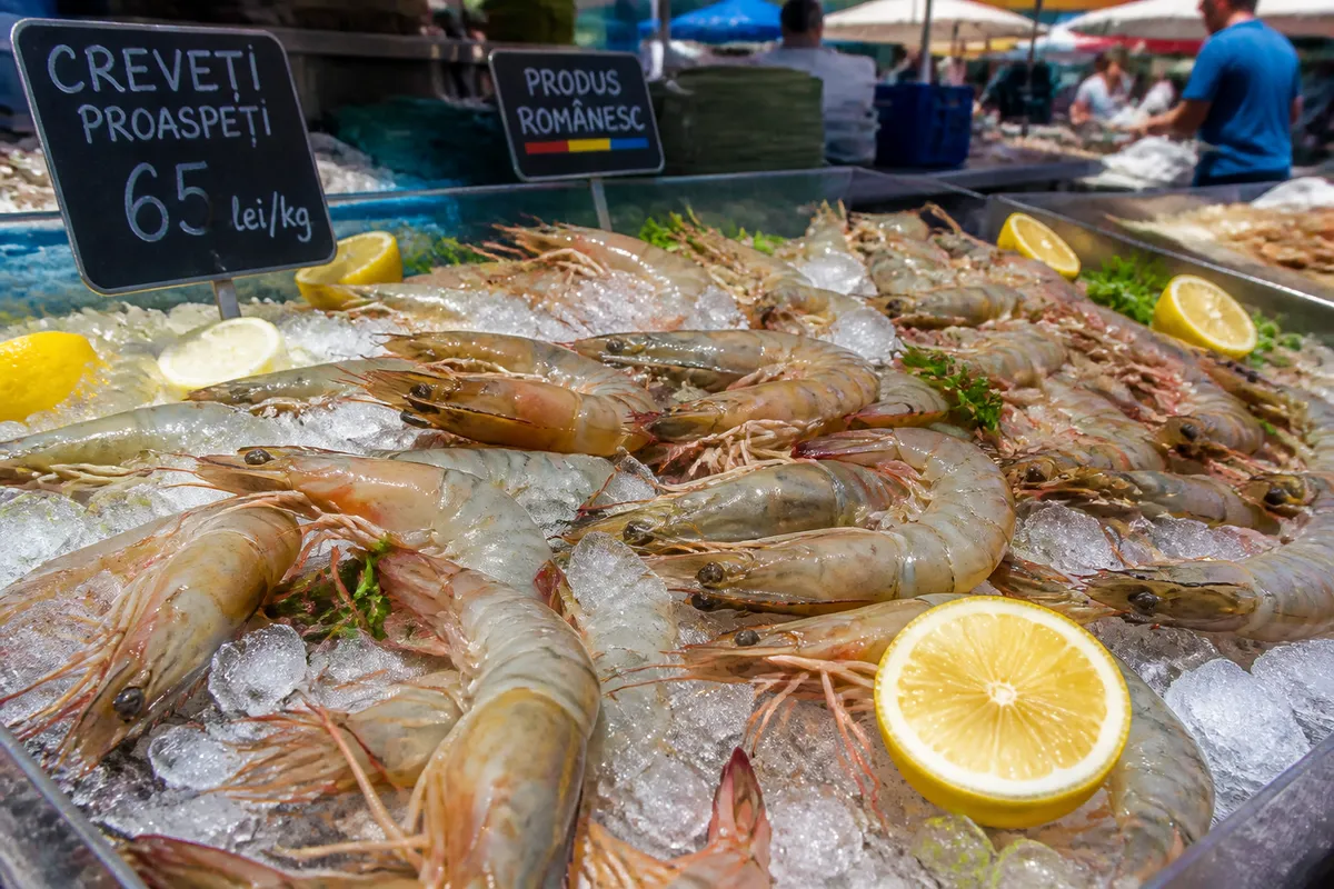 fructe de mare proaspete vara prospețime