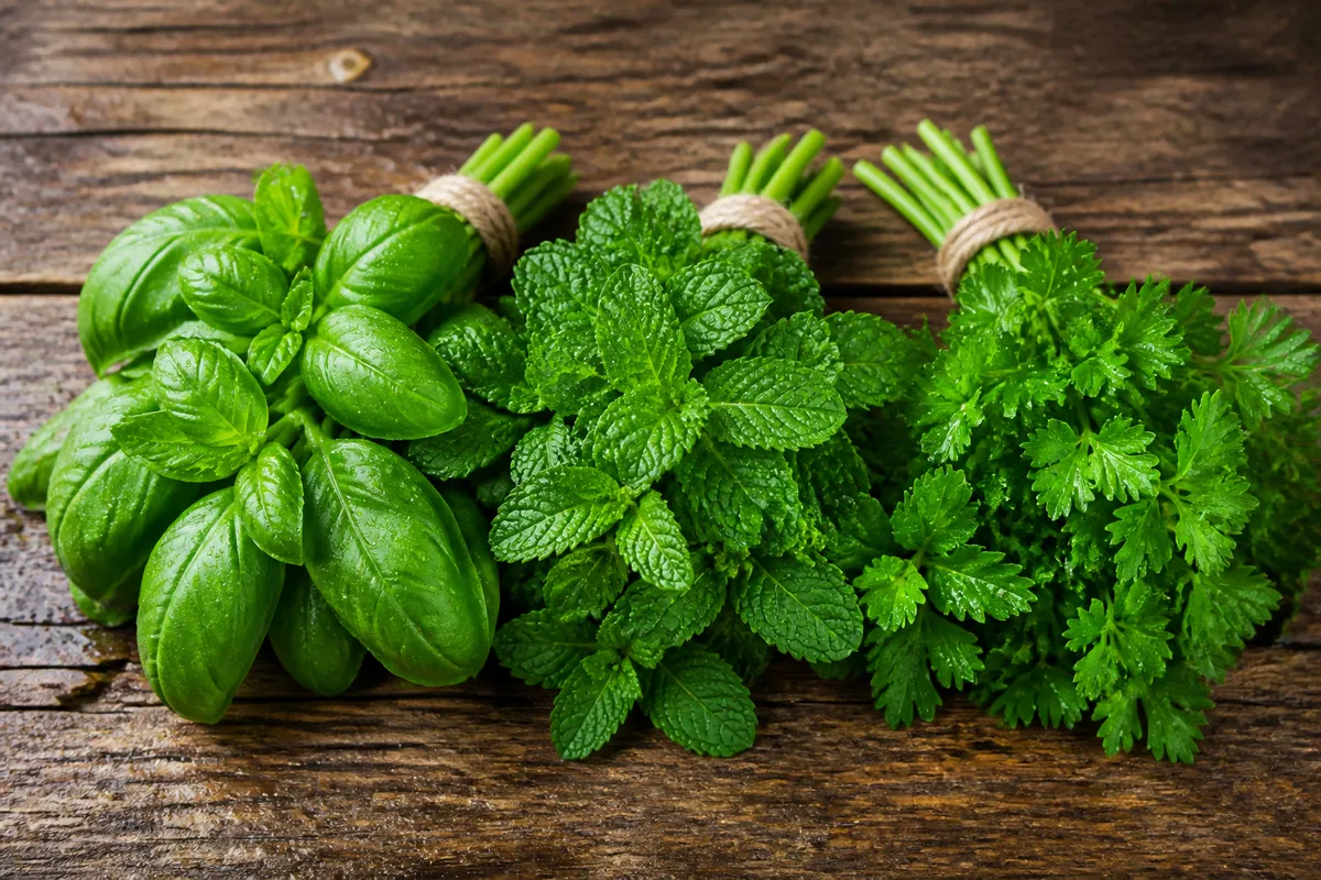 ierburi proaspete pentru salate de vară