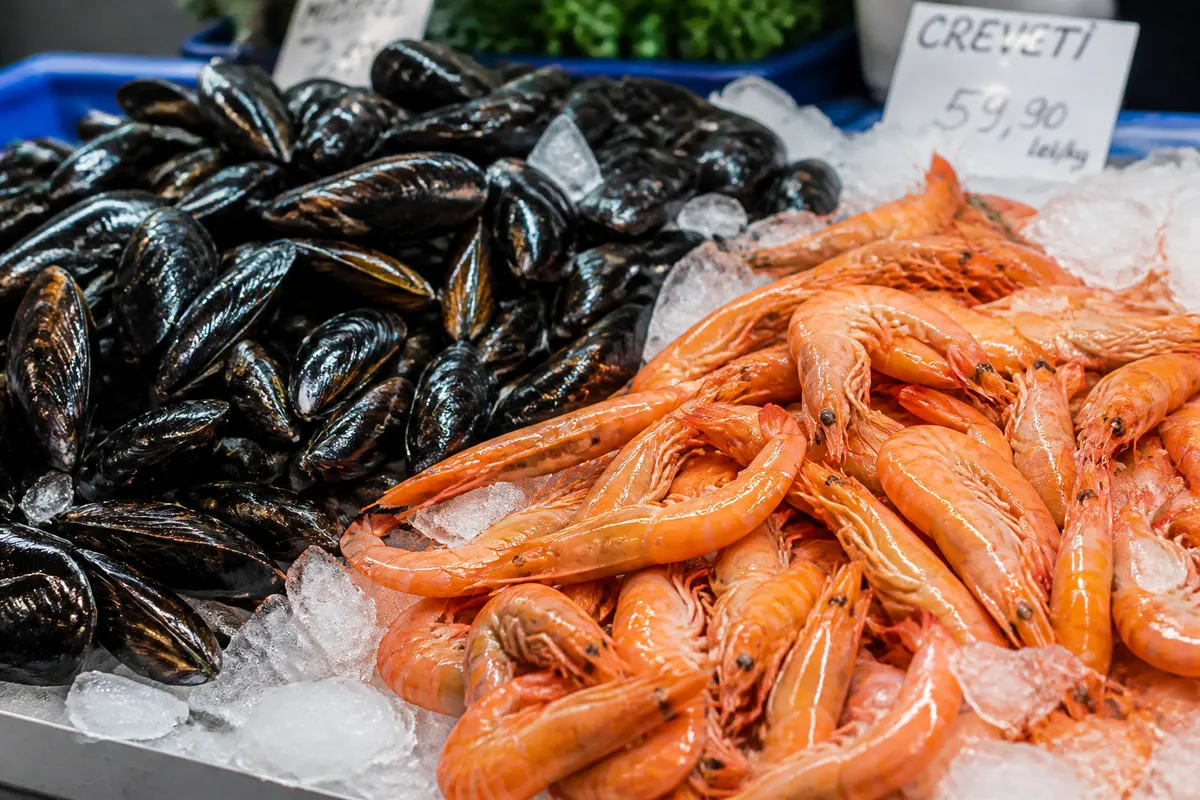 semne vizuale fructe de mare proaspete